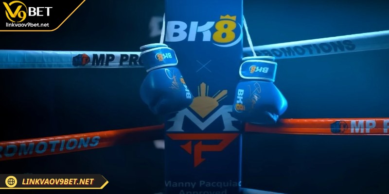 Thông tin cần nắm bắt rõ về BK8
